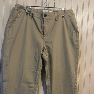 Woman’s Tan Flat Front Pants A New Day Brand Size 10